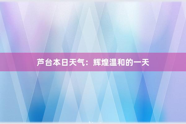 芦台本日天气：辉煌温和的一天